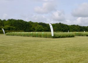 Field Day trials site