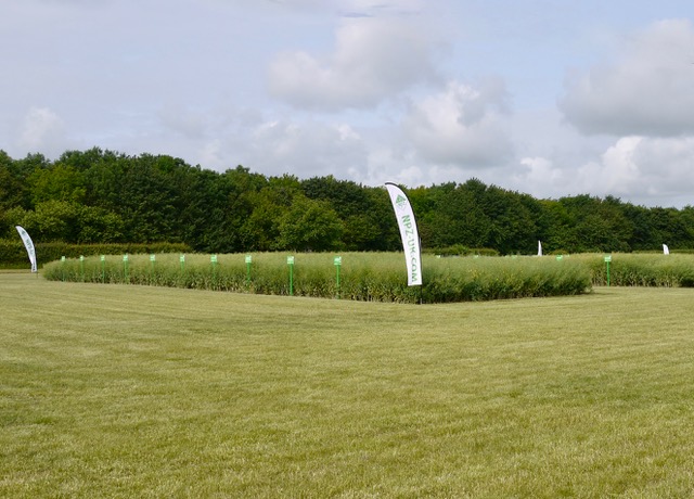 Field Day trials site